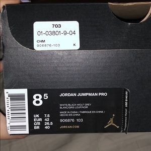 Jordan Jumpman Pro